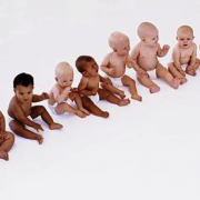 a line of babies