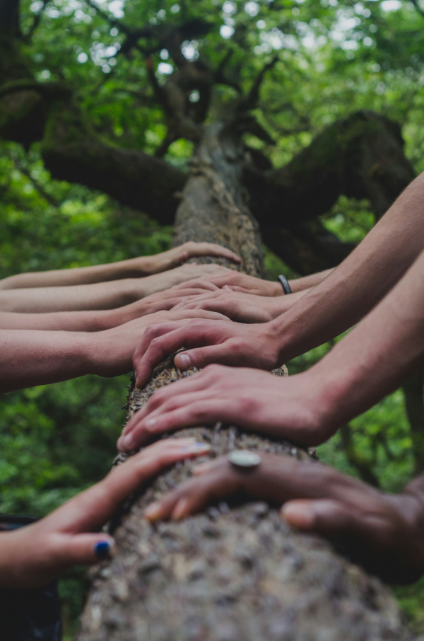 Online: Equals Cluster Meetings - Book Here